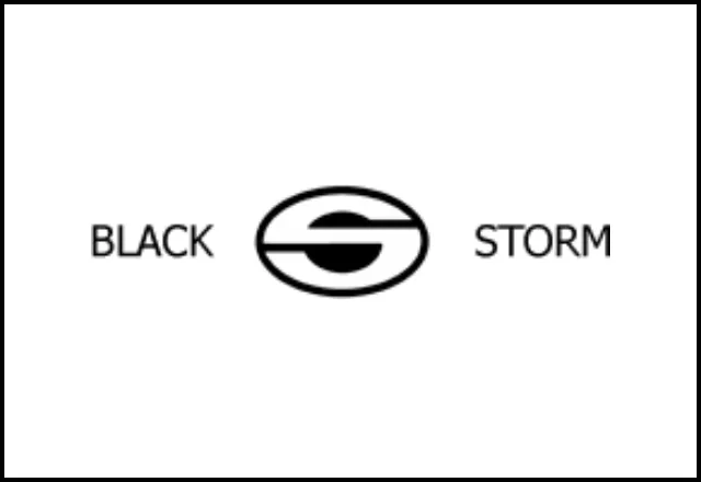Web логотип для компании «‎Black Storm»
