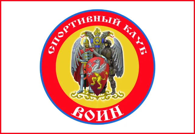 Web логотип для компании «СК Воин»