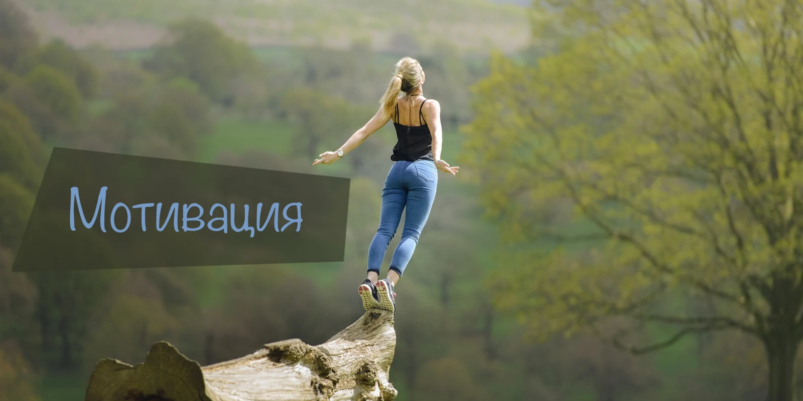 Топ 5 способов мотивации к работе